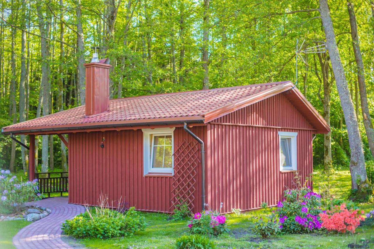 Namelis Nr 1 Adeles Sodyba Sturmai Exterior photo
